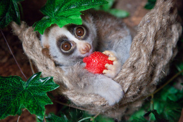 Similar image 1562794