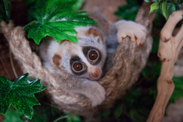 Similar image 1562795