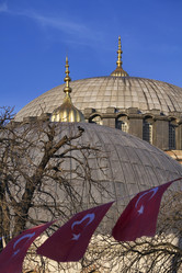 Similar image 1562809