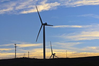 Similar image 1562829