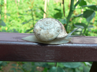 Similar image 1562835