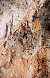 Similar image 1562905