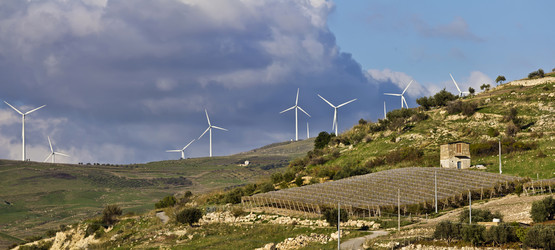 Similar image 1563079