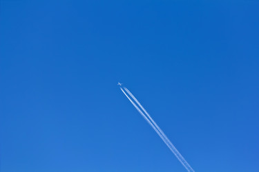 Similar image 1563083