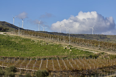 Similar image 1563085