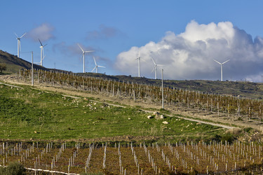 Similar image 1563091