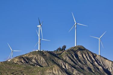 Similar image 1563098