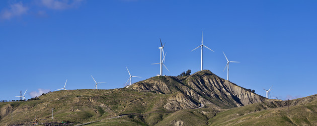 Similar image 1563105