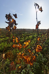 Similar image 1563108