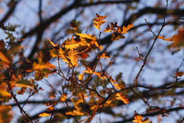 Similar image 1563114