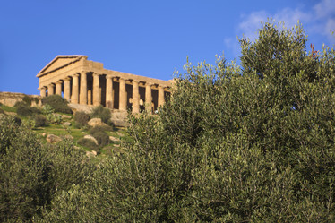 Similar image 1563143