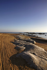 Similar image 1563161