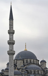 Similar image 1563162