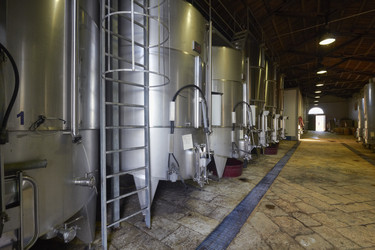 Similar image 1563198