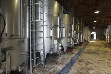 Similar image 1563200