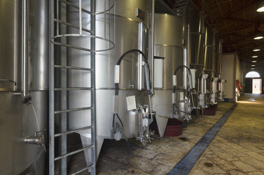 Similar image 1563205