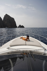 Similar image 1563213