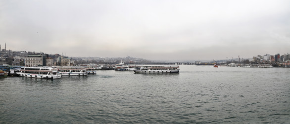 Similar image 1563216