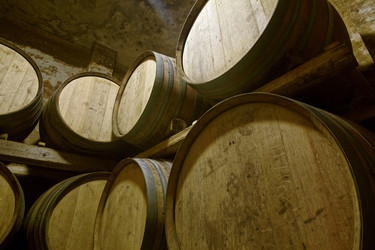 Similar image 1563217