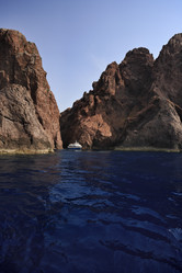 Similar image 1563221