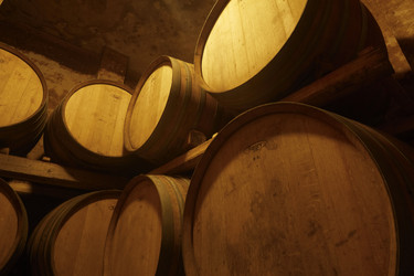 Similar image 1563225