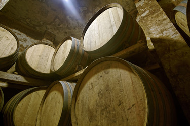 Similar image 1563234