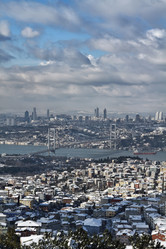 Similar image 1563263