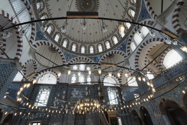 Similar image 1563298