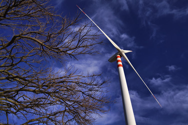 Similar image 1563299