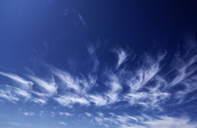 Similar image 1563303