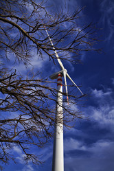 Similar image 1563307