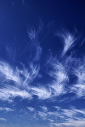 Similar image 1563327