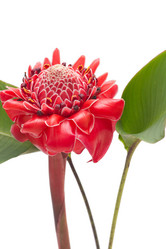 Similar image 1563350