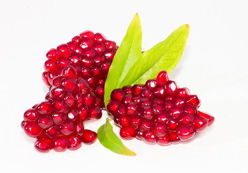 Similar image 1563352