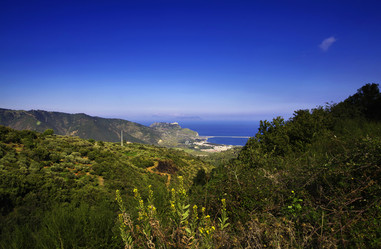 Similar image 1563380