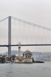 Similar image 1563505