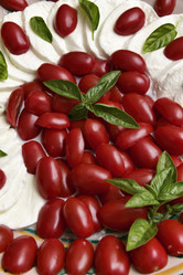 Similar image 1563559