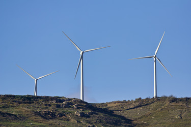 Similar image 1563579