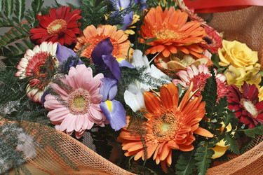 Similar image 1563582