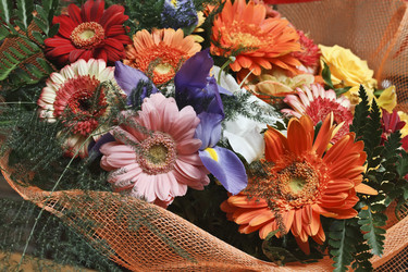 Similar image 1563584