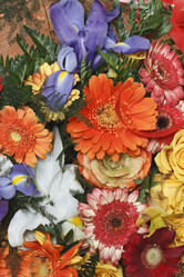 Similar image 1563585