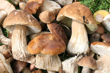 Similar image 1563696