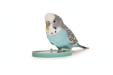 Similar image 1563714