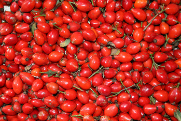 Similar image 1563716