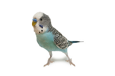 Similar image 1563731