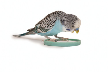 Similar image 1563732