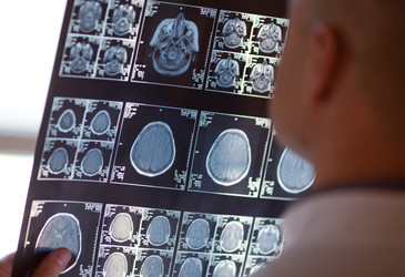 Similar image 1563733