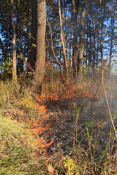 Similar image 1563741