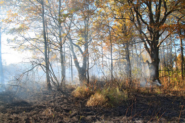 Similar image 1563743