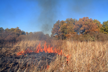 Similar image 1563745